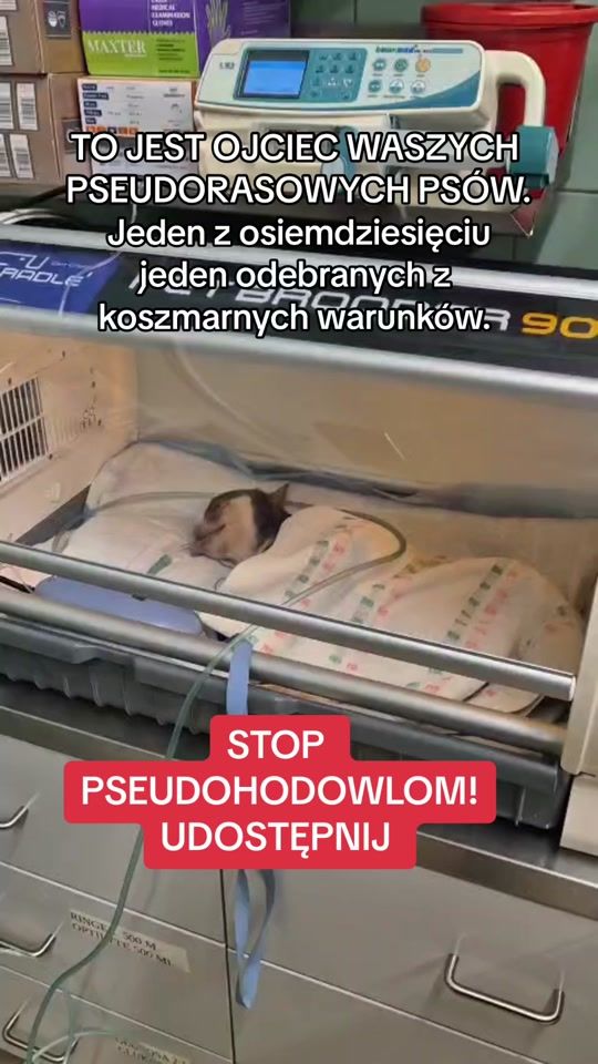 TikTok video thumbnail by fundacjajudyta