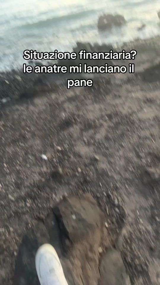 TikTok video thumbnail by alessandromoraghi