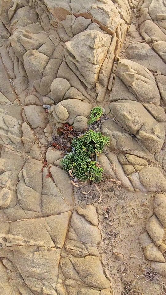 TikTok video thumbnail by delmarviaggi