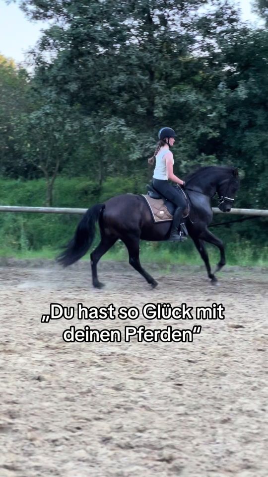 TikTok video thumbnail by spanisch.horses