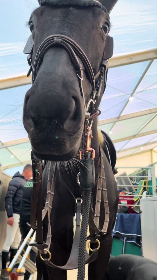 TikTok video thumbnail by pehubacko