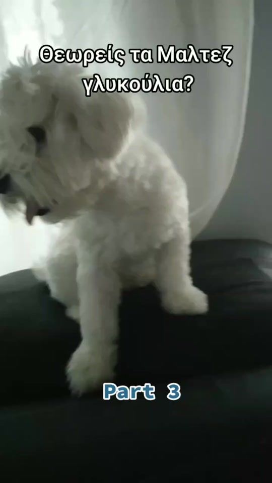 TikTok video thumbnail by gets_u