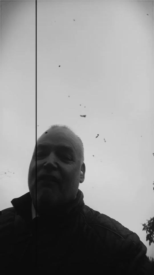 TikTok video thumbnail by busdriver698