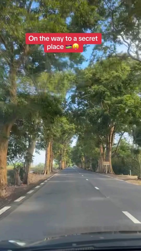 TikTok video thumbnail by simsim44