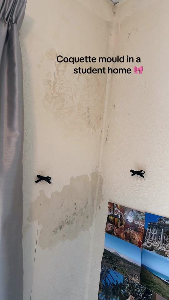 TikTok video thumbnail by kerenza.anne_69