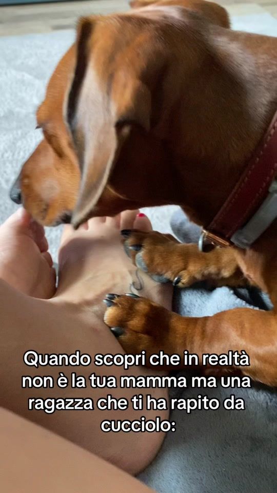 TikTok video thumbnail by chiara_e_dali