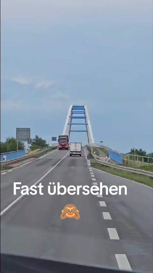 TikTok video thumbnail by ellenotto18