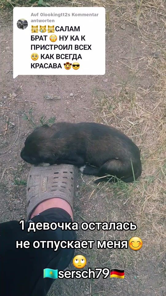 TikTok video thumbnail by sersch79