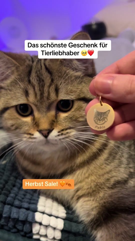 TikTok video thumbnail by vahlery.de