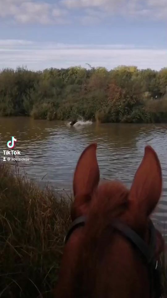 TikTok video thumbnail by adelaideju