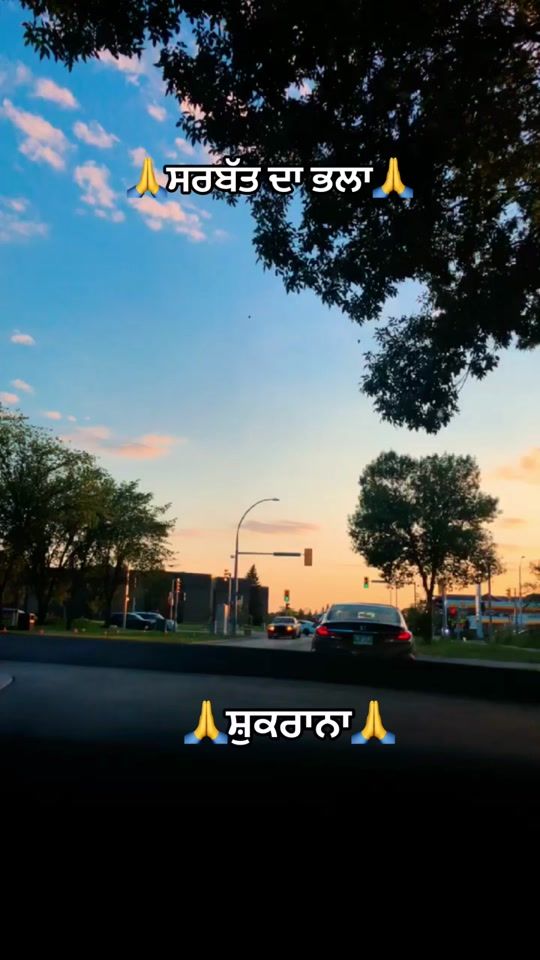 TikTok video thumbnail by malwabelt.pb03