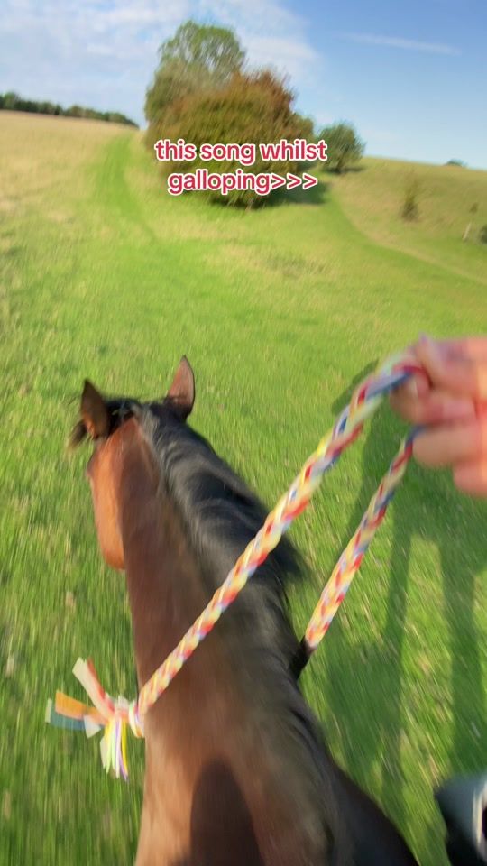 TikTok video thumbnail by cariadinthewild