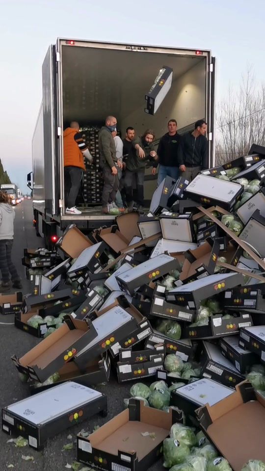 TikTok video thumbnail by florinonoaie