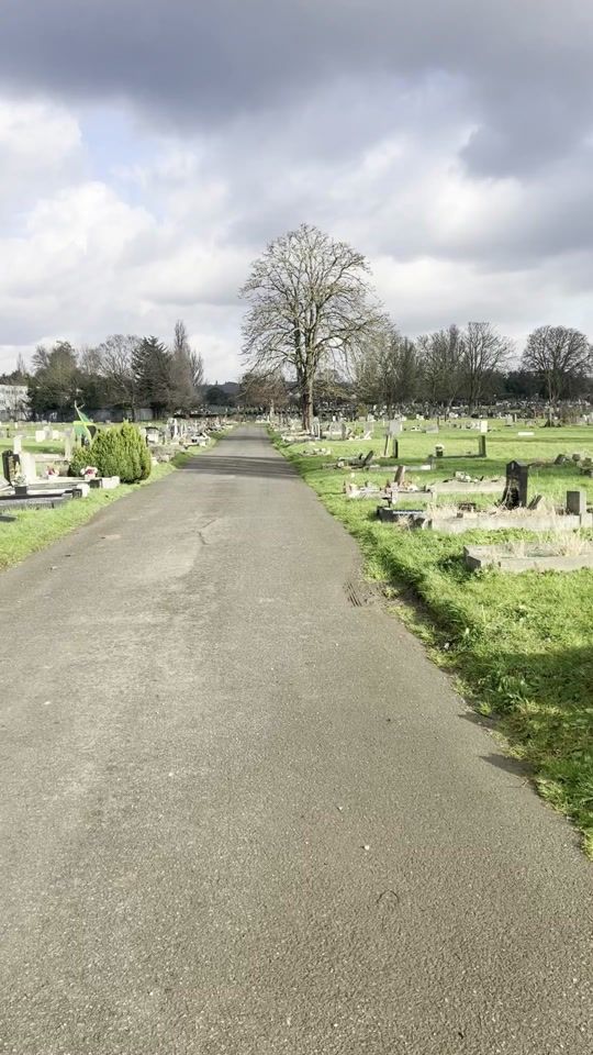 TikTok video thumbnail by alfiejackson04