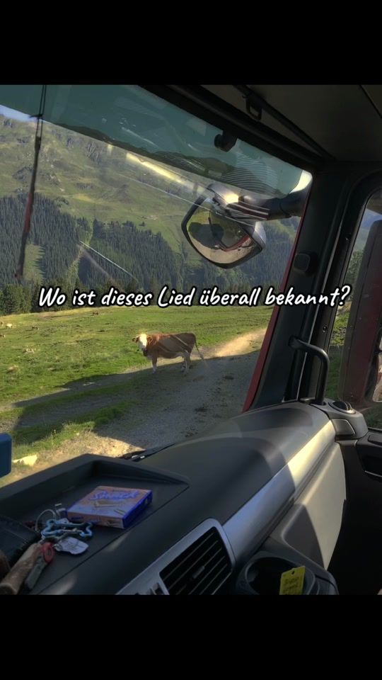 TikTok video thumbnail by karliniedrist