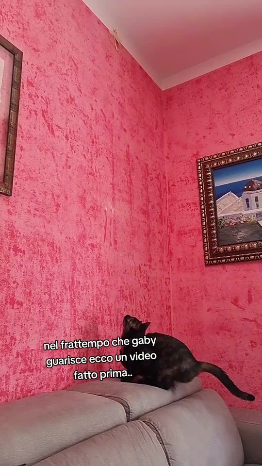 TikTok video thumbnail by antoegabyalex