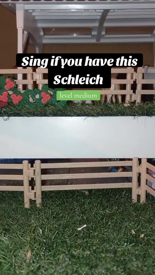 TikTok video thumbnail by s.ch.l.e.i.ch_
