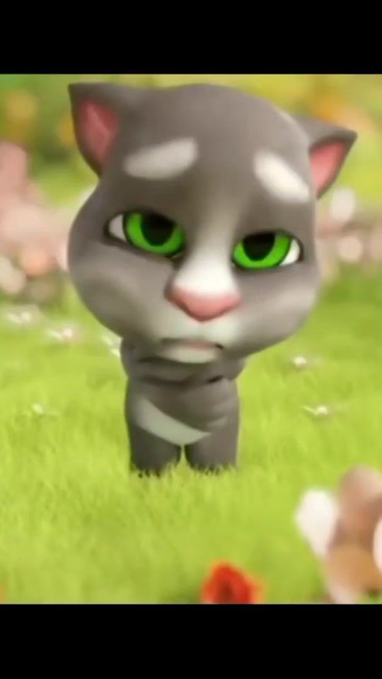 TikTok video thumbnail by rayao88