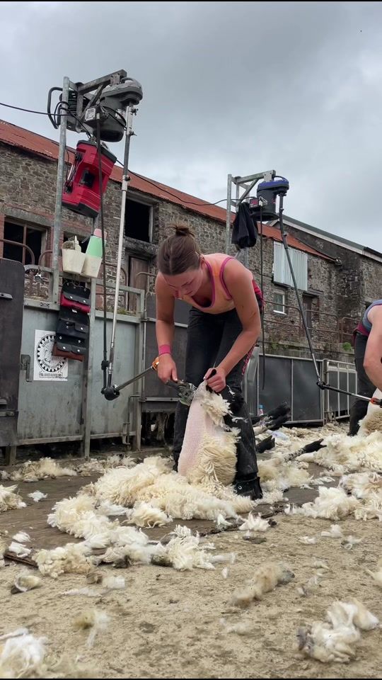 TikTok video thumbnail by imogenogborne0