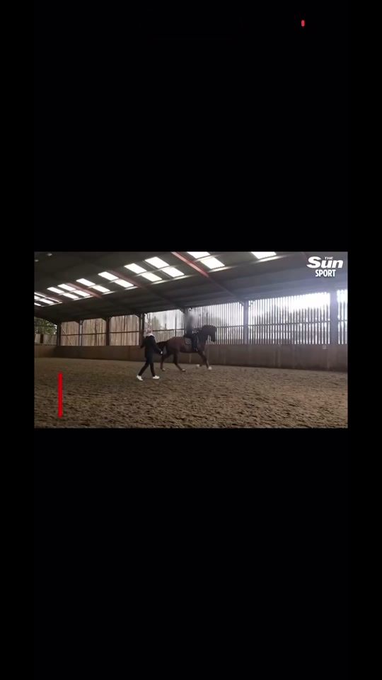TikTok video thumbnail by equi_rocky