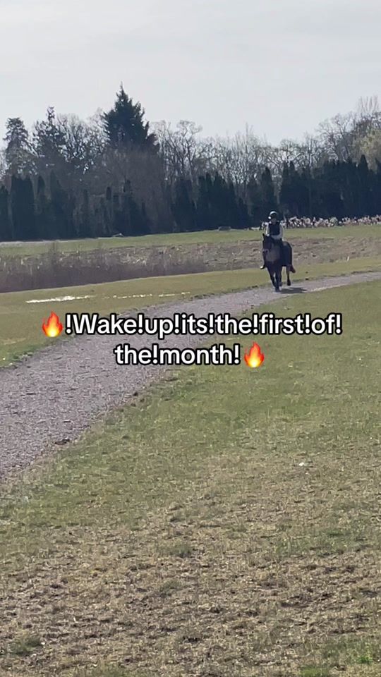 TikTok video thumbnail by equi.mollypolly