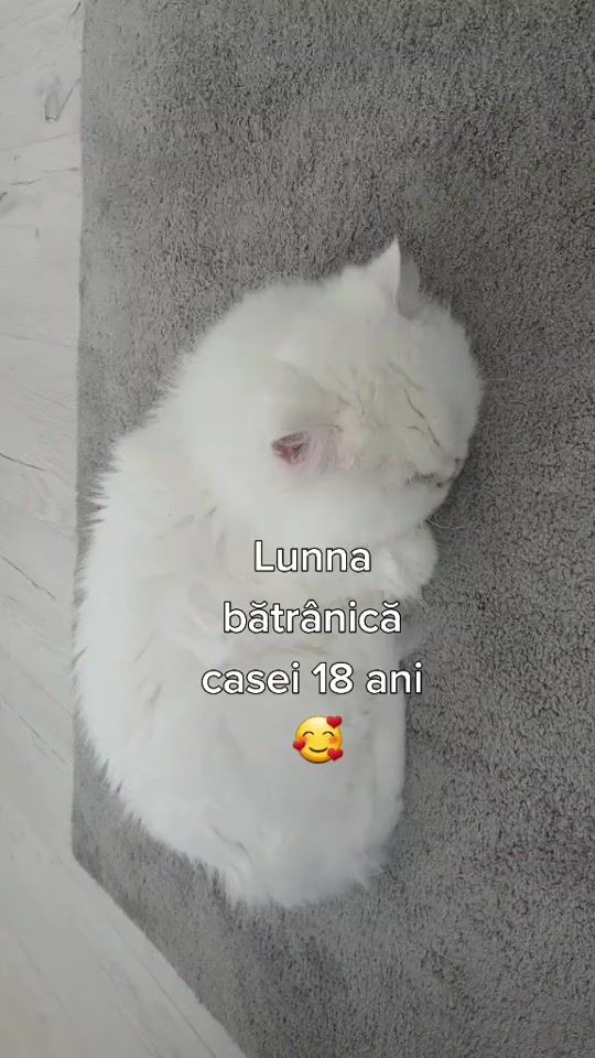 TikTok video thumbnail by lumykaty