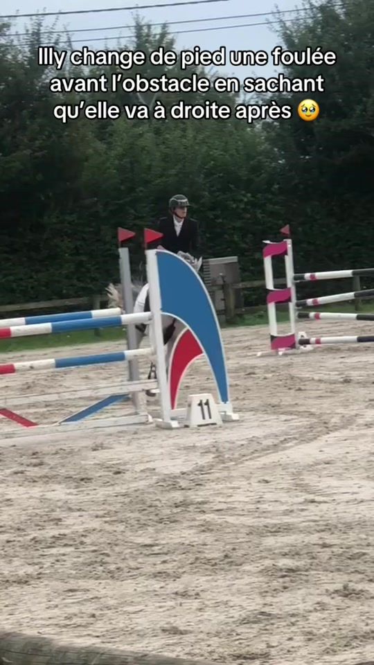 TikTok video thumbnail by feliciencollin