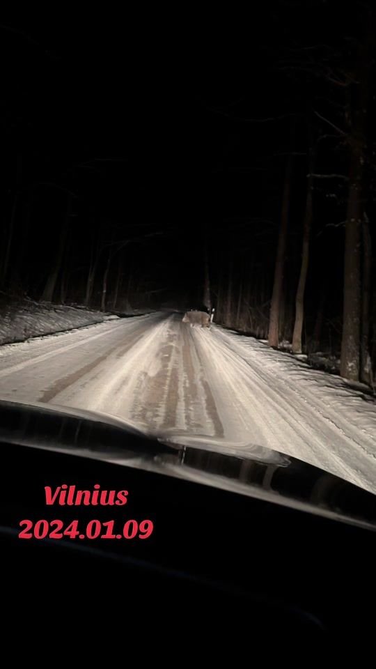 TikTok video thumbnail by brightfuture600