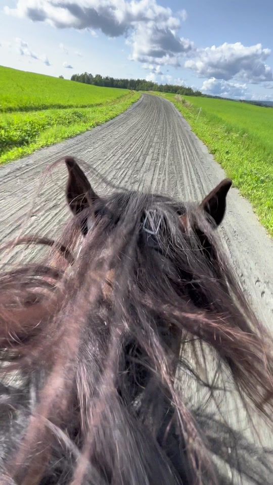 TikTok video thumbnail by rracehorses