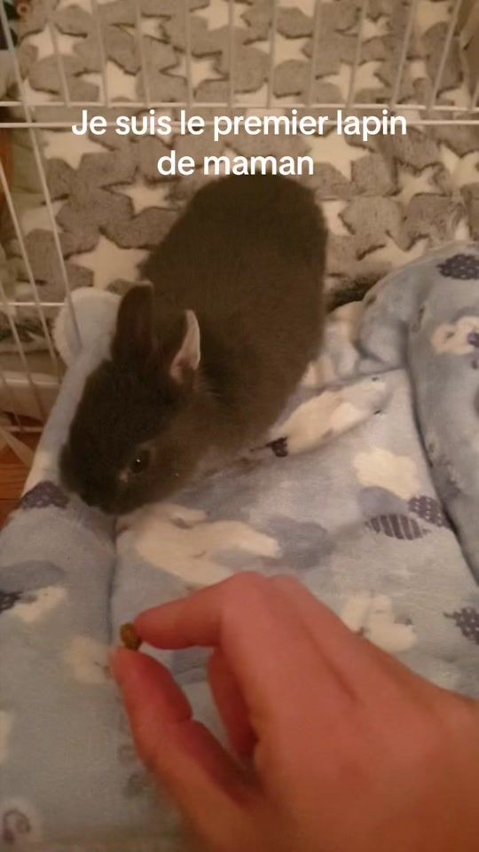 TikTok video thumbnail by gokulapin