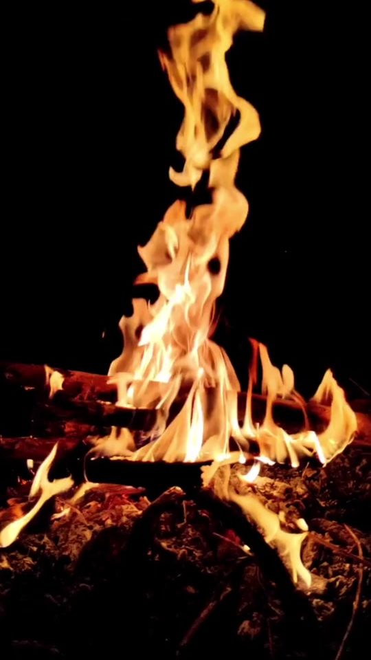 TikTok video thumbnail by hollywood1096