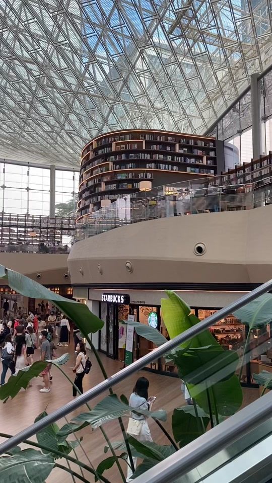 TikTok video thumbnail by glifediary