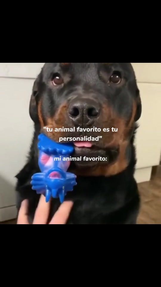 TikTok video thumbnail by almaa1323