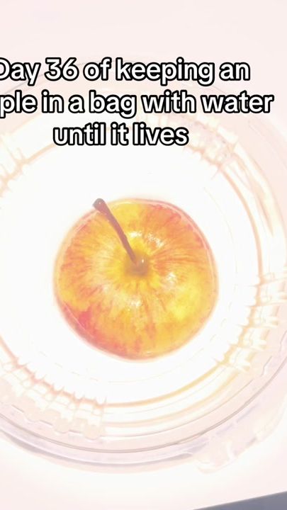 TikTok video thumbnail by the.apple.guy1