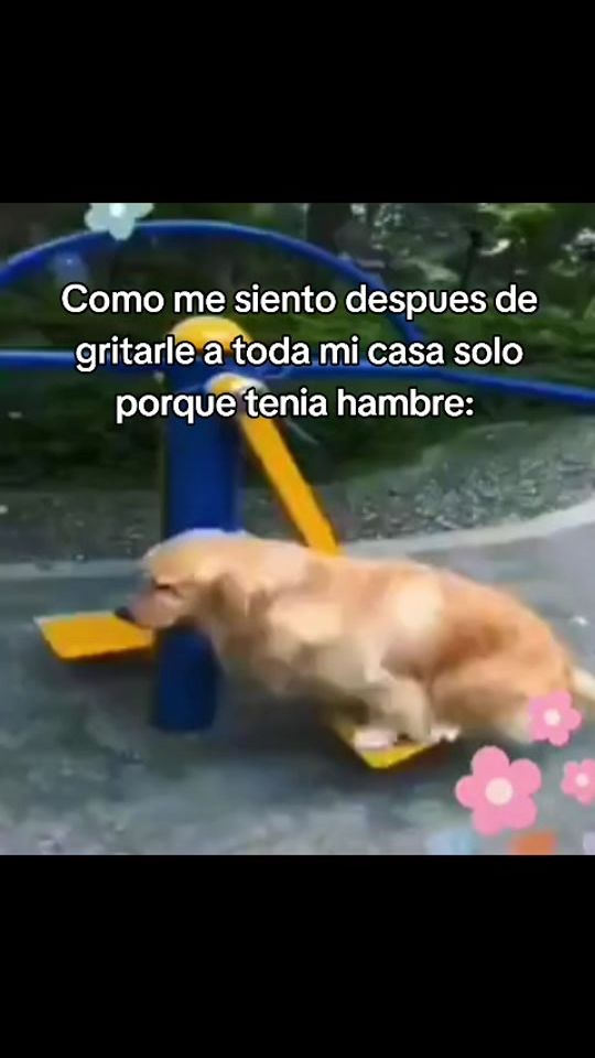 TikTok video thumbnail by mihai.ceausu