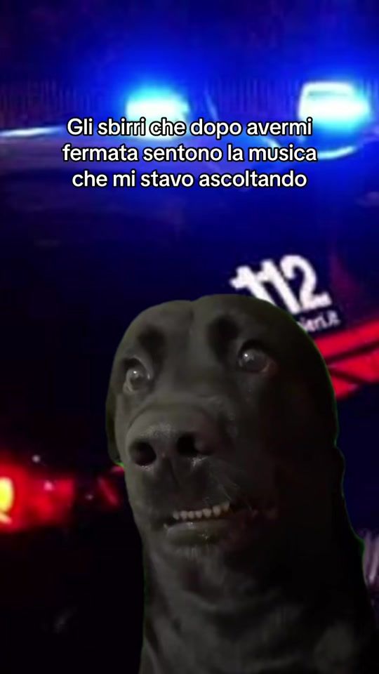 TikTok video thumbnail by massaro.lucia