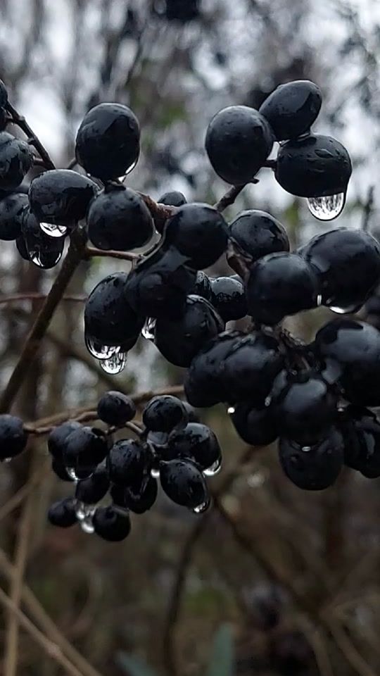 TikTok video thumbnail by mariu045