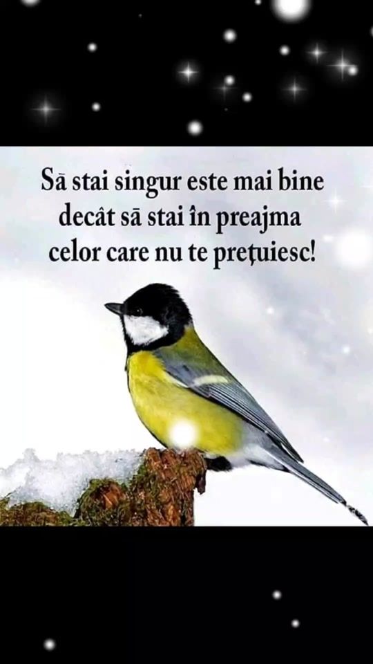 TikTok video thumbnail by hrana.pentru.suflet01