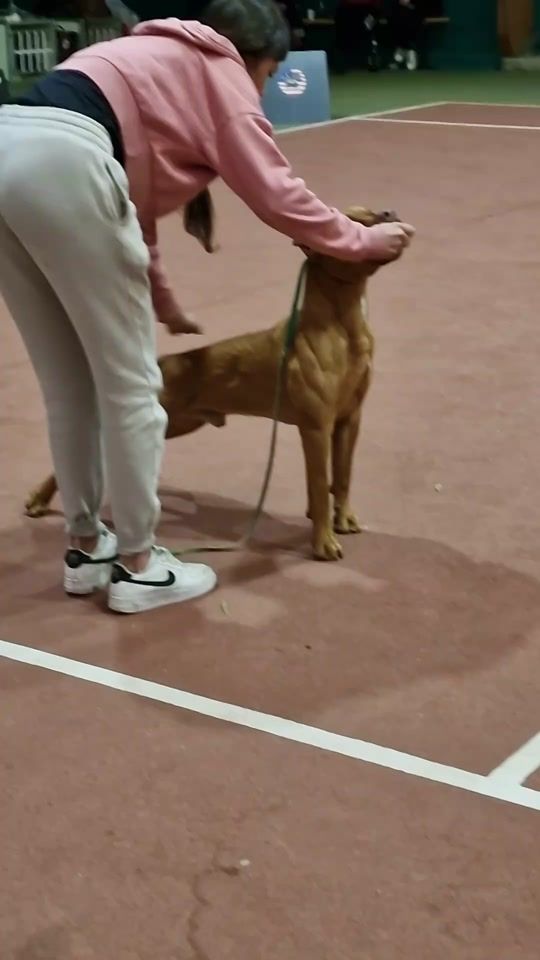 TikTok video thumbnail by cristianoraouls