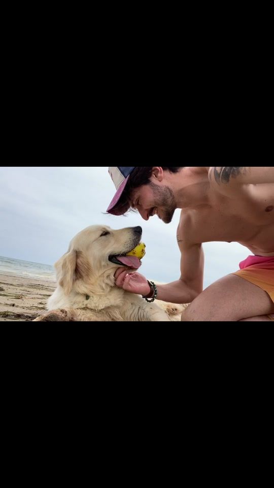 TikTok video thumbnail by omarpasin_simba_21