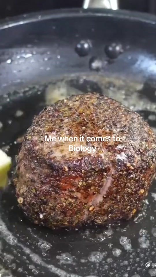 TikTok video thumbnail by anni.hfr