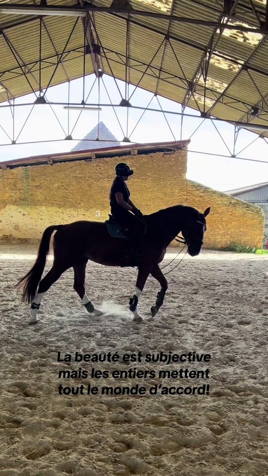 TikTok video thumbnail by macilia.adjr