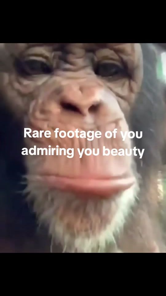 TikTok video thumbnail by mooonkeyalert