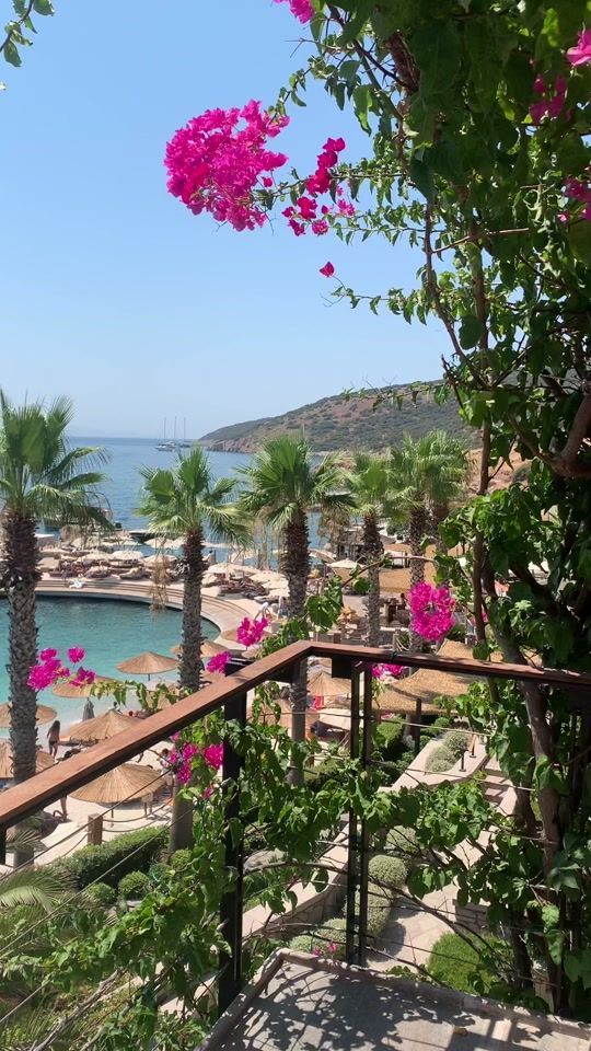 TikTok video thumbnail by zepekeno320