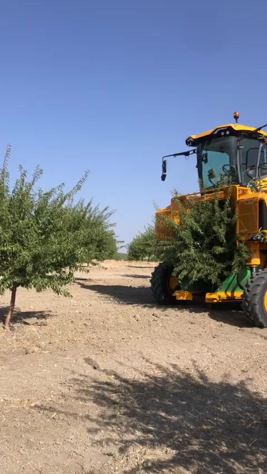 TikTok video thumbnail by joseconejorull