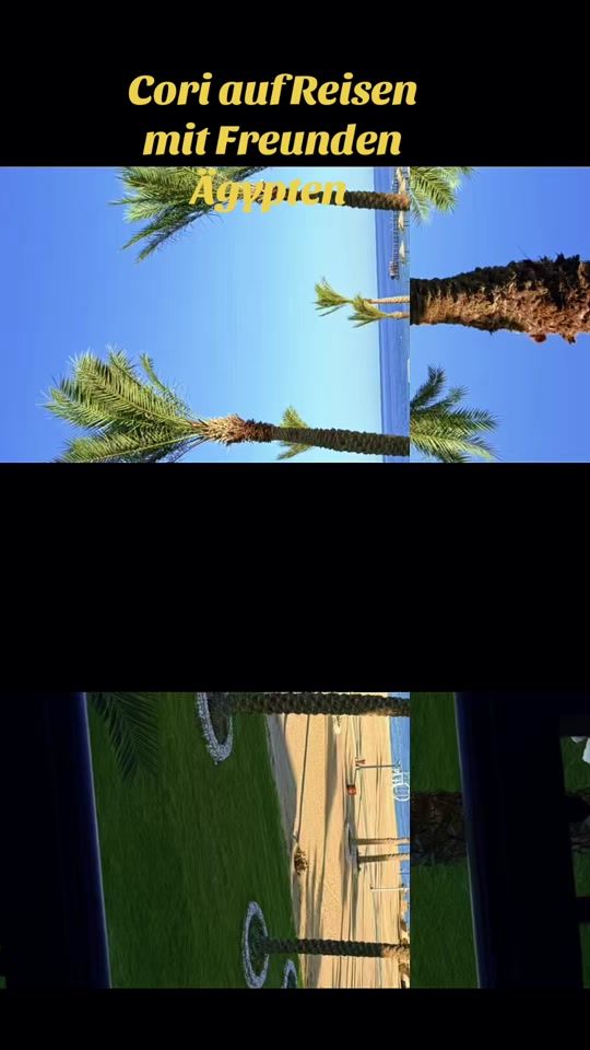 TikTok video thumbnail by bluebirdpugbengalcat