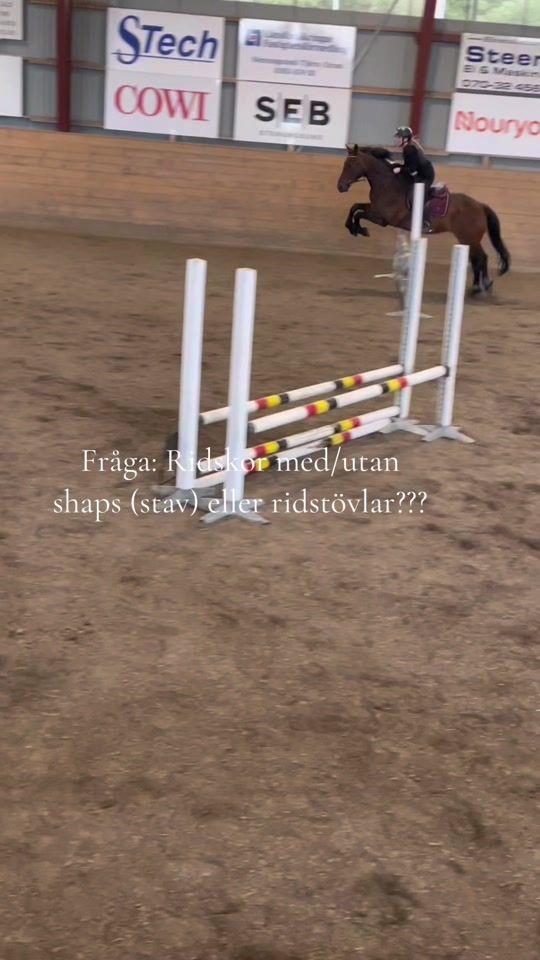 TikTok video thumbnail by equi.belindaaa