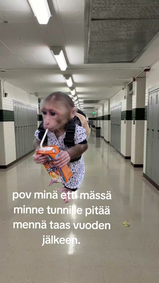 TikTok video thumbnail by veikka_123