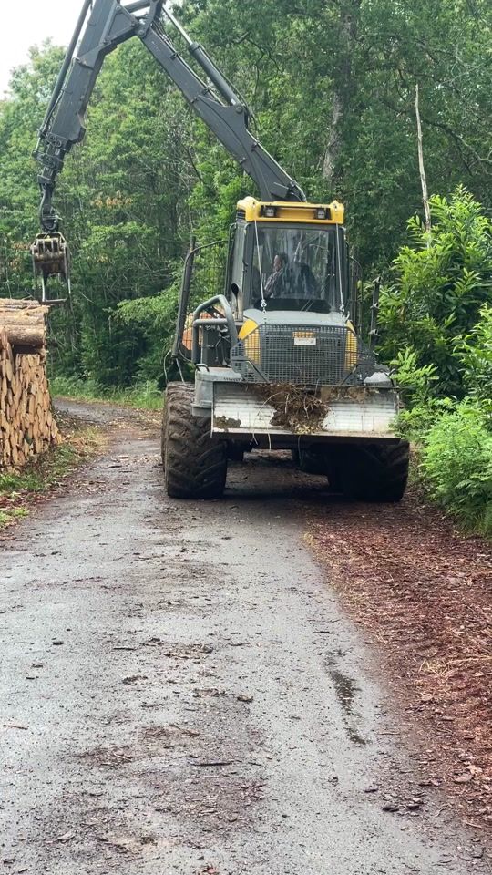 TikTok video thumbnail by adrianadi85