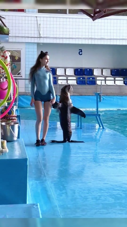 TikTok video thumbnail by dolphinshow.ch